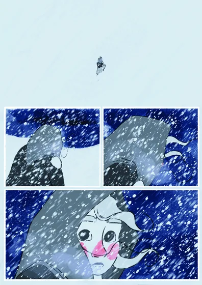 First page — Erla