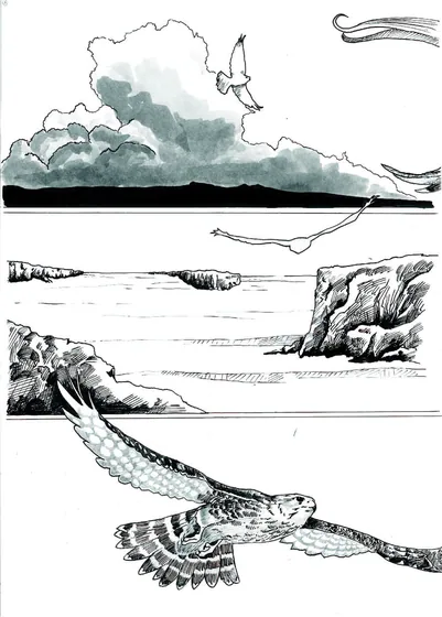 First page — Tolli